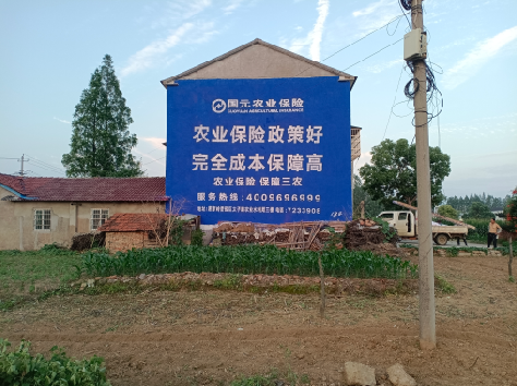 台州市墙体广告为何受追捧？